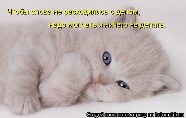 Котоматрица: Чтобы слова не расходились с делом,  надо молчать и ничего не делать.