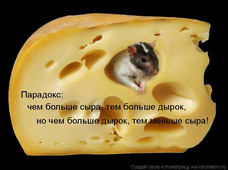 Парадокс: чем больше сыра, тем больше дырок, но чем больше дырок, тем меньше сыра!... Котоматрица: Парадокс: чем больше сыра, тем больше дырок, но чем больше дырок, тем меньше сыра!