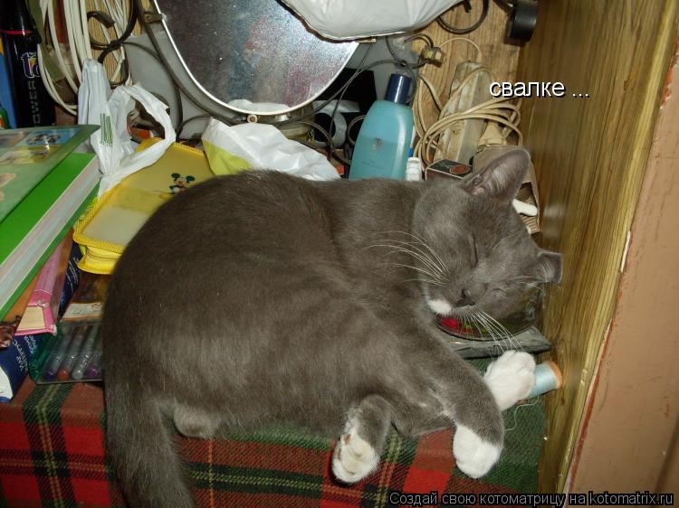 Котоматрица: свалке ...