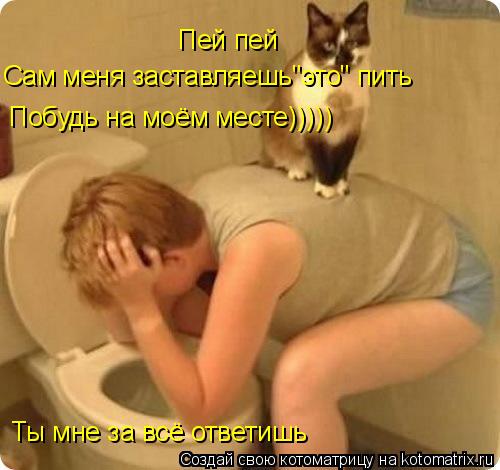 Пей пей Ты мне за всё ответишь Сам меня заставляешь"это" пить Побудь на моём месте)))))... Котоматрица: Пей пей Ты мне за всё ответишь Сам меня заставляешь"это" пить Побудь на моём месте)))))