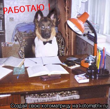 РАБОТАЮ РАБОТАЮ !... Котоматрица: РАБОТАЮ РАБОТАЮ !