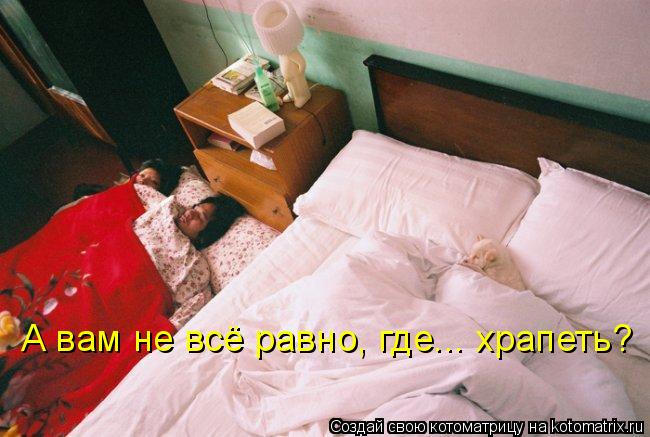 А вам не всё равно, где... храпеть?... Котоматрица: А вам не всё равно, где... храпеть?