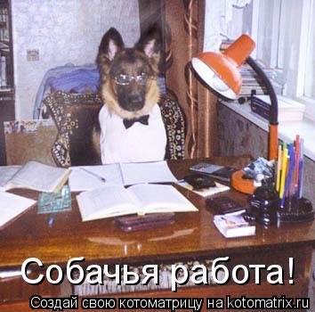 Собачья работа!... Котоматрица: Собачья работа!