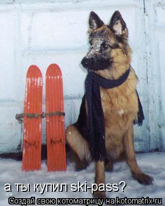 а ты купил ski-pass?... Котоматрица: а ты купил ski-pass?