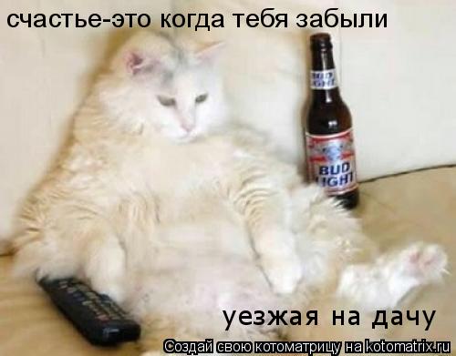счастье-это когда тебя забыли уезжая на дачу... Котоматрица: счастье-это когда тебя забыли уезжая на дачу