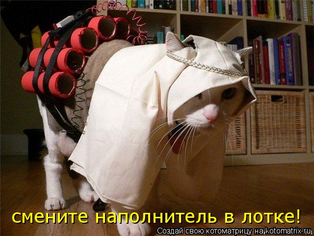 смените наполнитель в лотке!... Котоматрица: смените наполнитель в лотке!