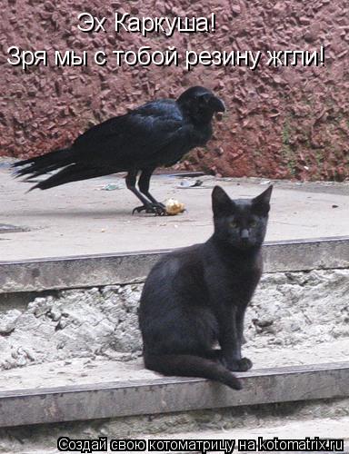 Зря мы с тобой резину жгли! Эх Каркуша!... Котоматрица: Зря мы с тобой резину жгли! Эх Каркуша!