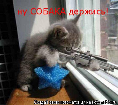 ну СОБАКА держись!... Котоматрица: ну СОБАКА держись!