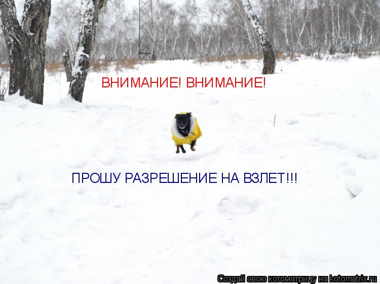 ВНИМАНИЕ! ВНИМАНИЕ! ПРОШУ РАЗРЕШЕНИЕ НА ВЗЛЕТ!!!... Котоматрица: ВНИМАНИЕ! ВНИМАНИЕ! ПРОШУ РАЗРЕШЕНИЕ НА ВЗЛЕТ!!!