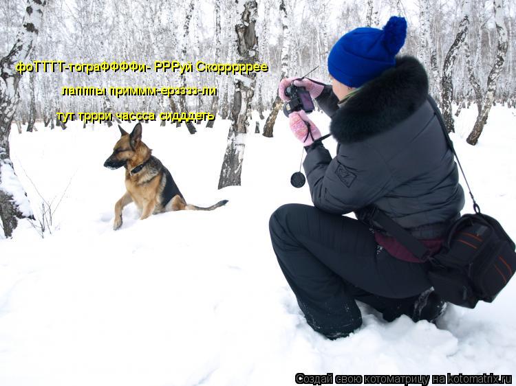фоТТТТ-тограФФФФи- РРРуй Скорррррее лапппы приммм-ерзззз-ли тут тррри чассса сидддеть... Котоматрица: фоТТТТ-тограФФФФи- РРРуй Скорррррее лапппы приммм-ерзззз-ли тут тррри чассса сидддеть