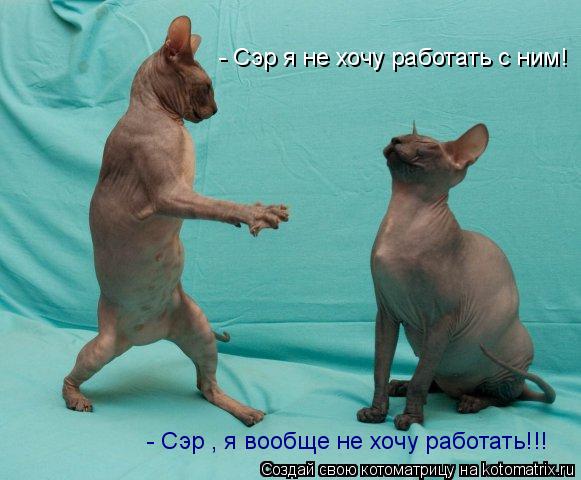 - Сэр я не хочу работать с ним! - Сэр , я вообще не хочу работать!!!... Котоматрица: - Сэр я не хочу работать с ним! - Сэр , я вообще не хочу работать!!!