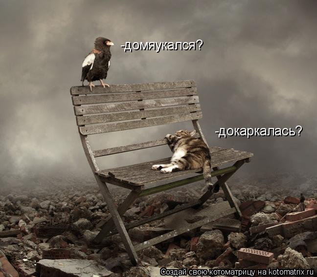 Котоматрица: -докаркалась? -домяукался?