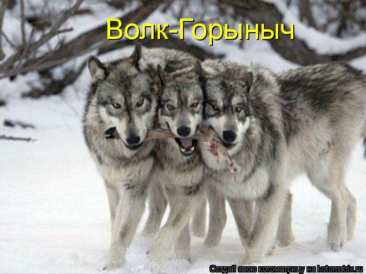 Котоматрица: Волк-Горыныч