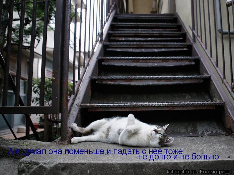 Котоматрица: А я думал она поменьше,и падать с неё тоже  не долго и не больно