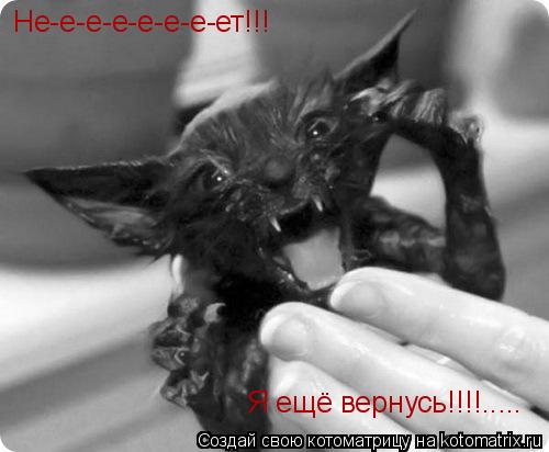 Не-е-е-е-е-е-е-ет!!! Я ещё вернусь!!!!........ Котоматрица: Не-е-е-е-е-е-е-ет!!! Я ещё вернусь!!!!.....