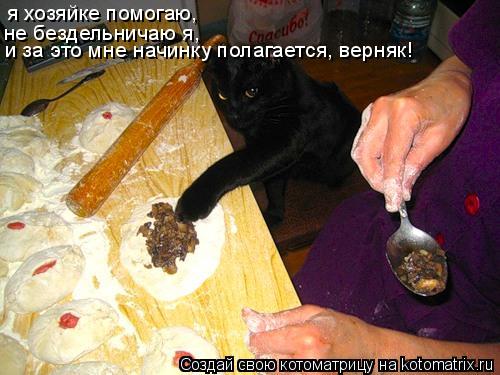 я хозяйке помогаю, не бездельничаю я, и за это мне начинку полагается, верняк!... Котоматрица: я хозяйке помогаю, не бездельничаю я, и за это мне начинку полагается, верняк!
