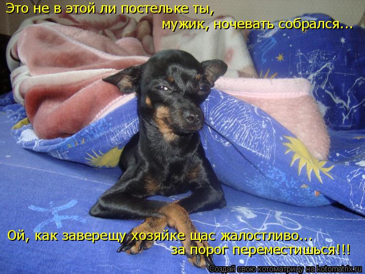 Это не в этой ли постельке ты, мужик, ночевать собрался... Ой, как заверещу хозяйке щас жалостливо...... Котоматрица: Это не в этой ли постельке ты, мужик, ночевать собрался... Ой, как заверещу хозяйке щас жалостливо... за порог переместишься!!!