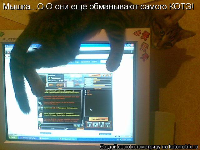 Котоматрица: Мышка...О.О они ещё обманывают самого КОТЭ!