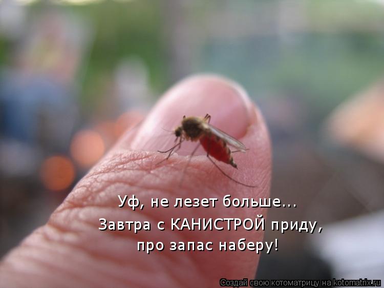 Уф, не лезет больше... Завтра с КАНИСТРОЙ приду, про запас наберу!... Котоматрица: Уф, не лезет больше... Завтра с КАНИСТРОЙ приду, про запас наберу!