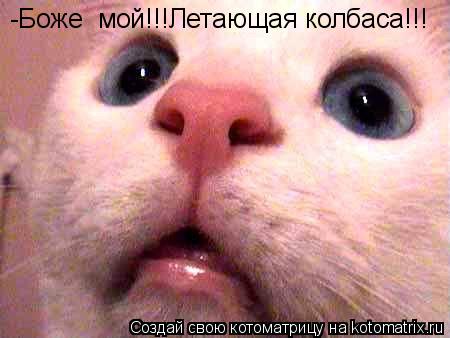 -Боже мой!!!Летающая колбаса!!!... Котоматрица: -Боже мой!!!Летающая колбаса!!!