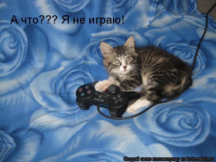 А что??? Я не играю!... Котоматрица: А что??? Я не играю!