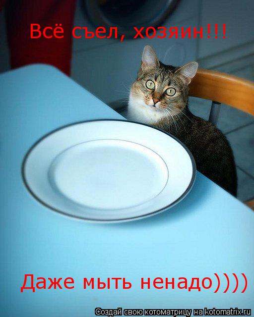 Всё съел, хозяин!!! Даже мыть ненадо))))... Котоматрица: Всё съел, хозяин!!! Даже мыть ненадо))))