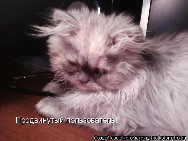 Продвинутый пользователь!... Котоматрица: Продвинутый пользователь!