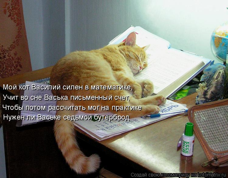 Мой кот Василий силен в математике, Учит во сне Васька письменный счет, Чтобы потом рассчитать мог на... Котоматрица: Мой кот Василий силен в математике, Учит во сне Васька письменный счет, Чтобы потом рассчитать мог на практике Нужен ли Ваське седьмой буте