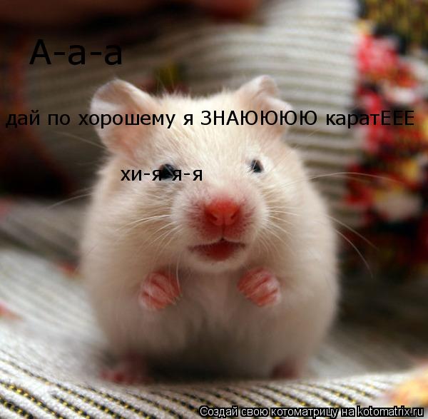 А-а-а дай по хорошему я ЗНАЮЮЮЮ каратЕЕЕ хи-я-я-я... Котоматрица: А-а-а дай по хорошему я ЗНАЮЮЮЮ каратЕЕЕ хи-я-я-я