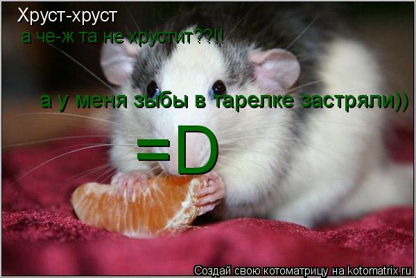 Хруст-хруст а че-ж та не хрустит??!! =D а у меня зыбы в тарелке застряли))... Котоматрица: Хруст-хруст а че-ж та не хрустит??!! =D а у меня зыбы в тарелке застряли))
