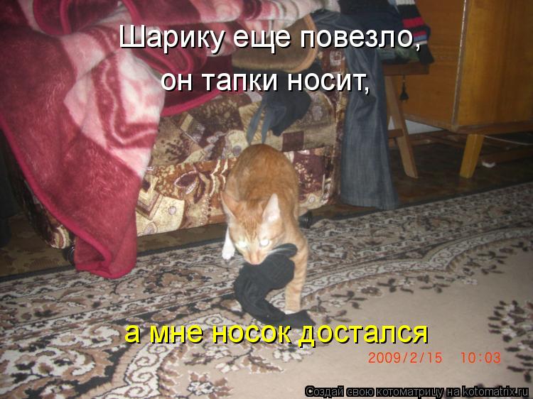 Котоматрица: Шарику еще повезло,  он тапки носит, а мне носок достался