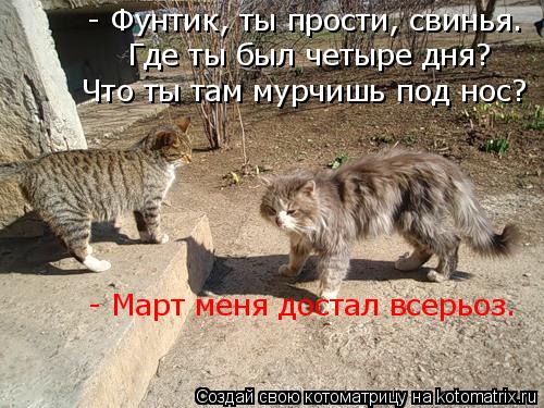 - Фунтик, ты прости, свинья. Где ты был четыре дня? Что ты там мурчишь под нос? - Март меня достал... Котоматрица: - Фунтик, ты прости, свинья. Где ты был четыре дня? Что ты там мурчишь под нос? - Март меня достал всерьоз.