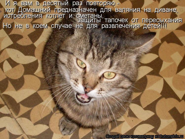 И я вам в десятый раз повторяю - кот Домашний предназначен для валяния на диване, истреб... Котоматрица: И я вам в десятый раз повторяю - кот Домашний предназначен для валяния на диване, истребления котлет и сметаны, защиты тапочек от