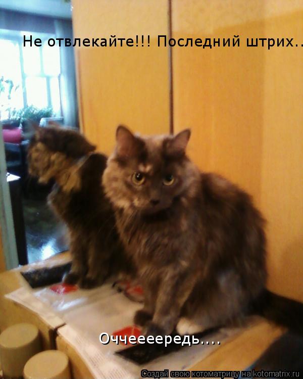 Не отвлекайте!!! Последний штрих... Оччеееередь....... Котоматрица: Не отвлекайте!!! Последний штрих... Оччеееередь....