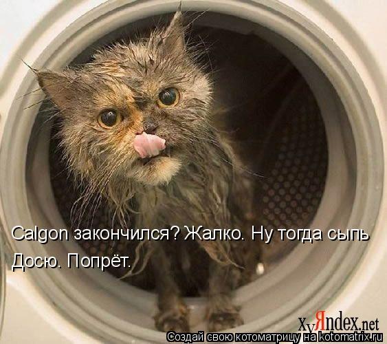 Calgon закончился? Жалко. Ну тогда сыпь Досю. Попрёт.... Котоматрица: Calgon закончился? Жалко. Ну тогда сыпь Досю. Попрёт.
