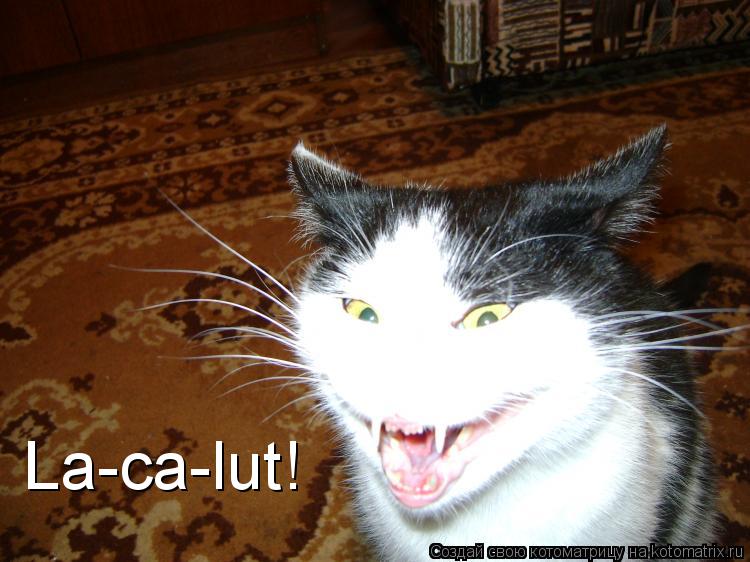 La-ca-lut!... Котоматрица: La-ca-lut!