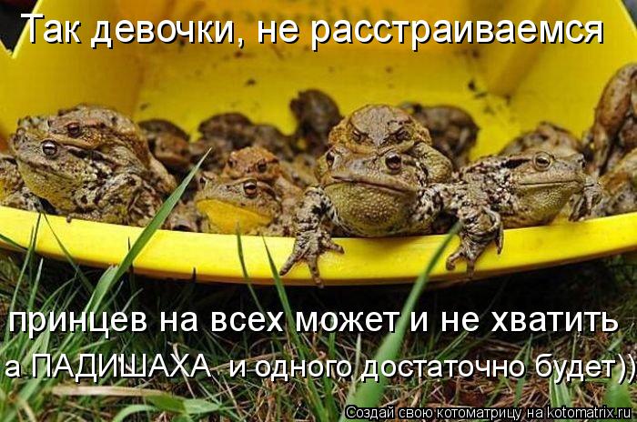 Так девочки, не расстраиваемся а ПАДИШАХА и одного достаточно будет))) принцев на всех может и не хв... Котоматрица: Так девочки, не расстраиваемся а ПАДИШАХА и одного достаточно будет))) принцев на всех может и не хватить