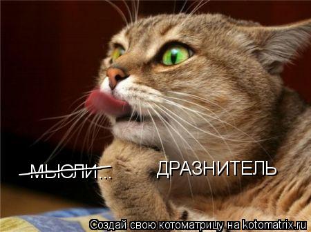 МЫСЛИ... _________ ДРАЗНИТЕЛЬ... Котоматрица: МЫСЛИ... _________ ДРАЗНИТЕЛЬ