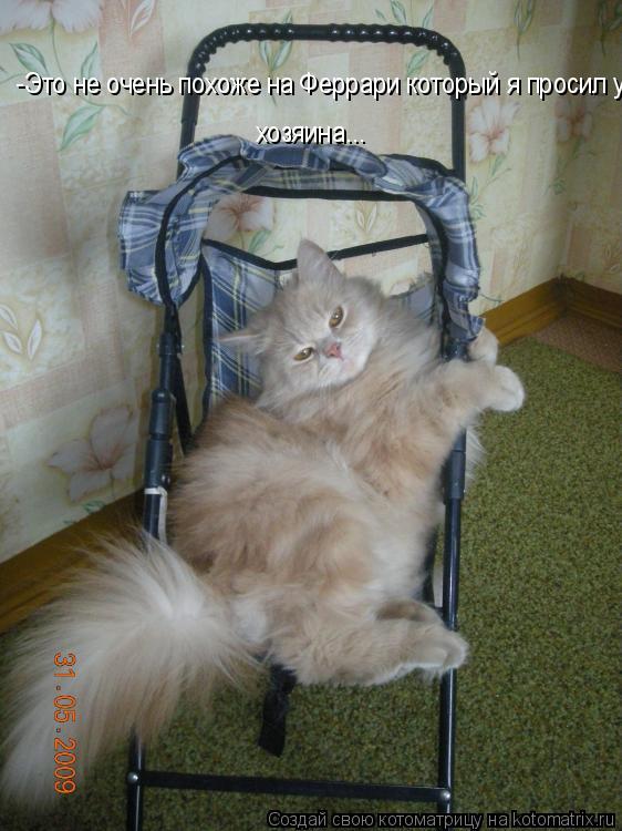 Котоматрица: -Это не очень похоже на Феррари который я просил у хозяина... хозяина...