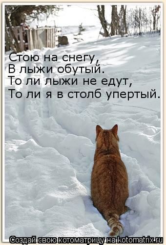 Котоматрица: Стою на снегу, В лыжи обутый. То ли лыжи не едут, То ли я в столб упертый.