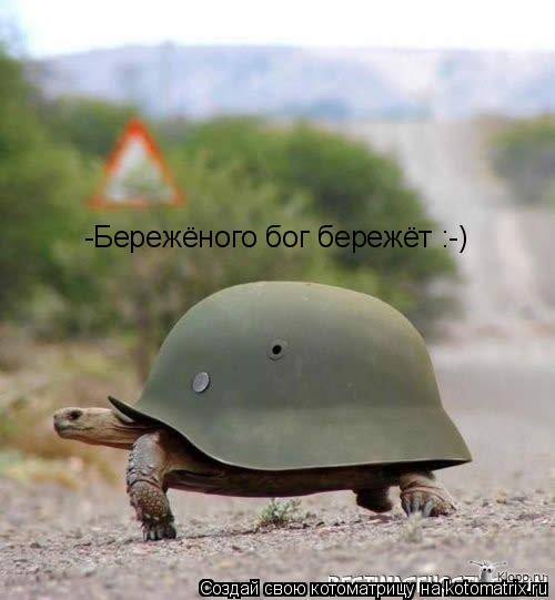 Котоматрица: -Бережёного бог бережёт :-)