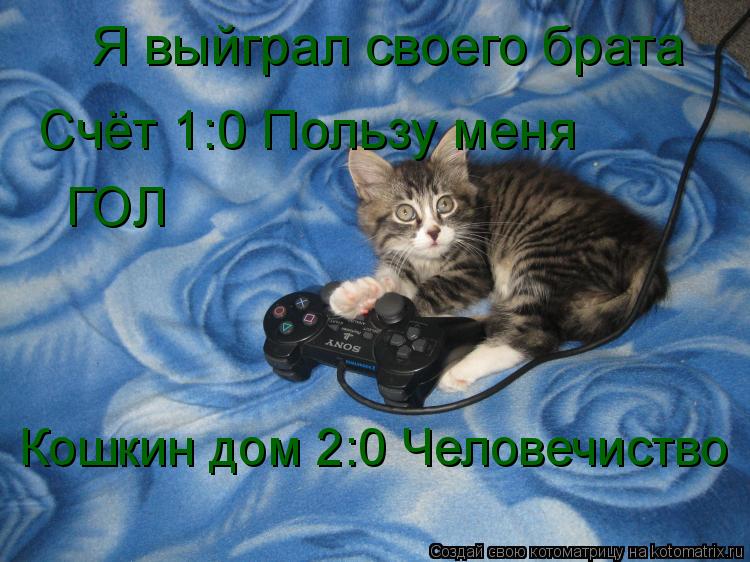 Котоматрица: Я выйграл своего брата Счёт 1:0 Пользу меня ГОЛ Кошкин дом 2:0 Человечиство