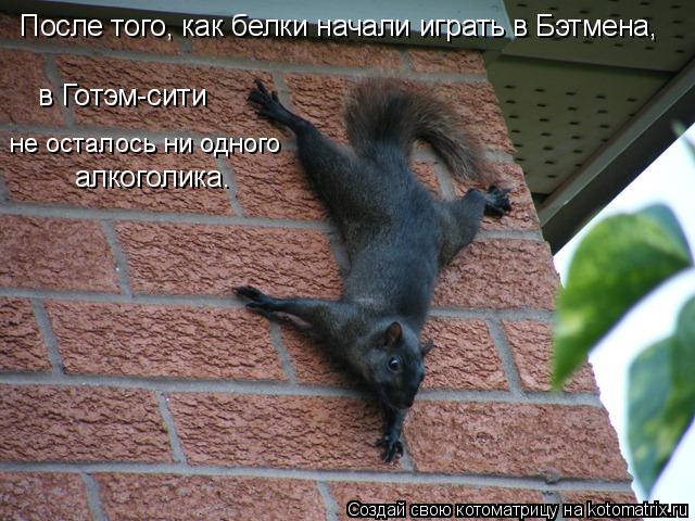 Котоматрица: в Готэм-сити  не осталось ни одного алкоголика. После того, как белки начали играть в Бэтмена,