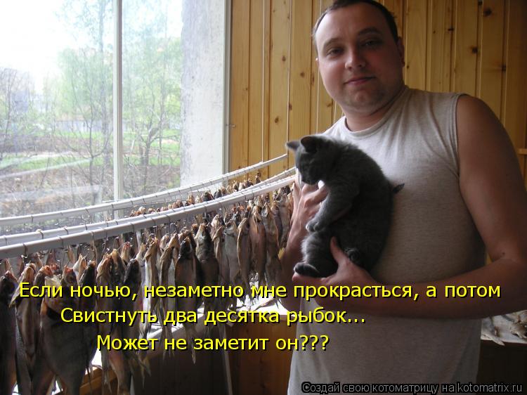 Если ночью, незаметно мне прокрасться, а потом Свистнуть два десятка рыбок... Может не заметит он???... Котоматрица: Если ночью, незаметно мне прокрасться, а потом Свистнуть два десятка рыбок... Может не заметит он???