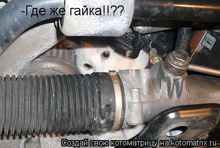 -Где же гайка!!??... Котоматрица: -Где же гайка!!??
