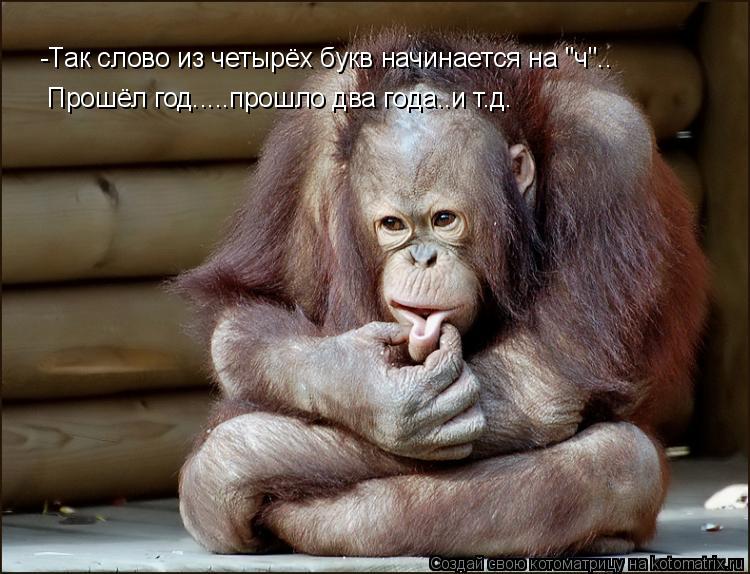 Прошёл год.....прошло два года..и т.д. -Так слово из четырёх букв начинается на "ч"..... Котоматрица: Прошёл год.....прошло два года..и т.д. -Так слово из четырёх букв начинается на "ч"..