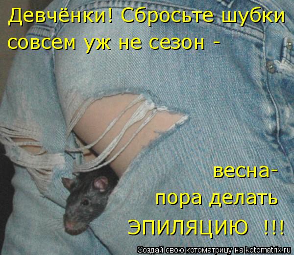 весна- пора делать Девчёнки! Сбросьте шубки совсем уж не сезон - ЭПИЛЯЦИЮ !!!... Котоматрица: весна- пора делать Девчёнки! Сбросьте шубки совсем уж не сезон - ЭПИЛЯЦИЮ !!!