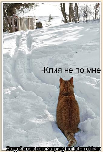 -Клия не по мне... Котоматрица: -Клия не по мне