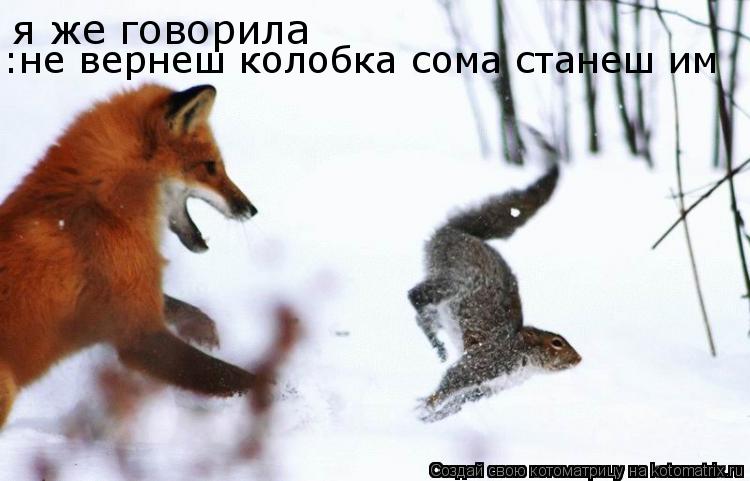 я же говорила :не вернеш колобка сома станеш им... Котоматрица: я же говорила :не вернеш колобка сома станеш им