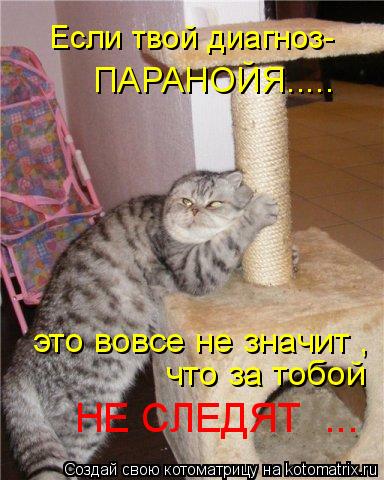 НЕ СЛЕДЯТ ... ПАРАНОЙЯ..... что за тобой Если твой диагноз- это вовсе не значит ,... Котоматрица: НЕ СЛЕДЯТ ... ПАРАНОЙЯ..... что за тобой Если твой диагноз- это вовсе не значит ,